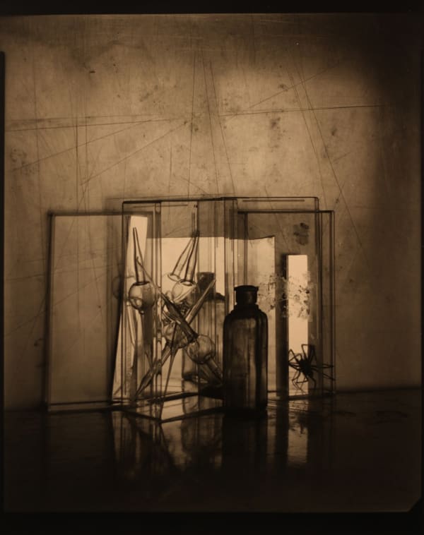 Boris Gaberščik, Ospedale IV, 2020