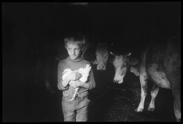 Stojan Kerbler, V hlevu 2 / In Stall 2, ok. 1970 / cca. 1970
