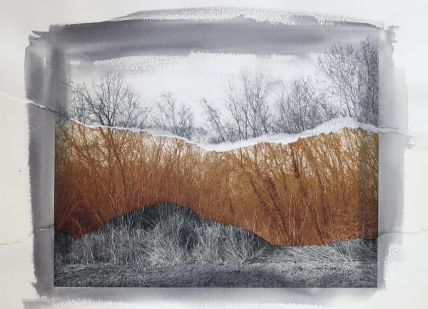 Euro Rotelli, Ri-creatio #1, 2021