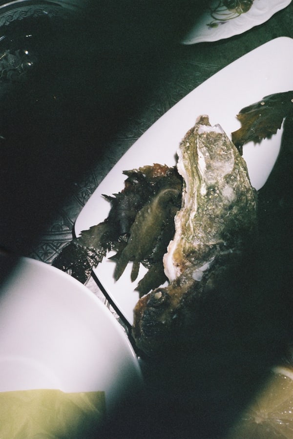 Tereza Kozinc, The Seduction #3, 2020