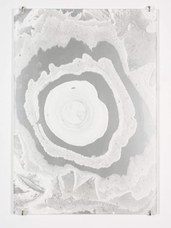 Ece Bal, 143 Drops, 2025