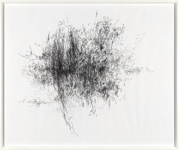 Defne Tesal, 58'03'' of Kora, 2017