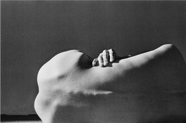 Şahin Kaygun, Untitled