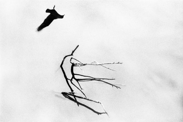 Yusuf Sevinçli, Tumult 037 Istanbul, 2022