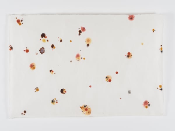 Merve İşeri, Choreography I, 2023