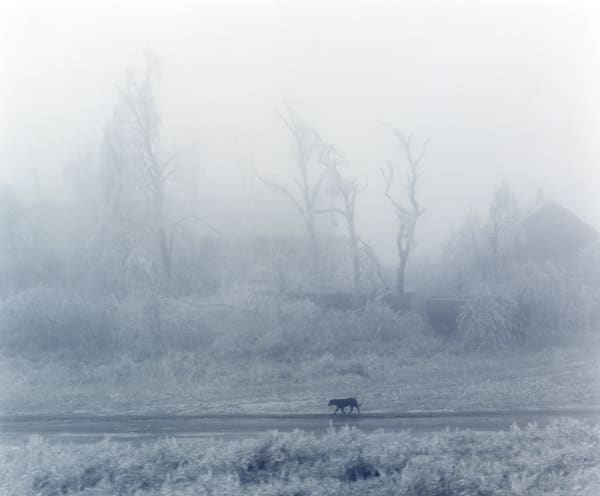 Nicolas Descottes, Syrjajeve n°1/9, 2000