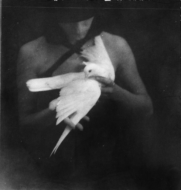 Şahin Kaygun, Untitled