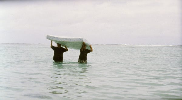 Claire Denis, L'Intrus, 2005