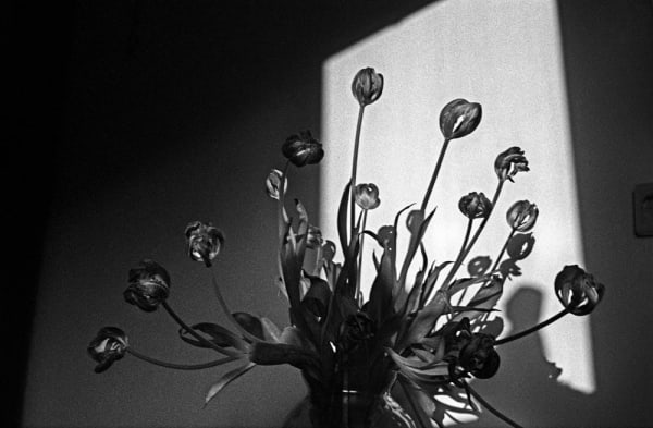 Yusuf Sevinçli, Post 003, 2010