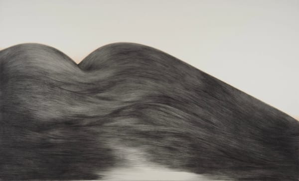 Ayça Telgeren, Tulya, 2024