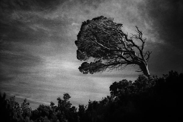 Yusuf Sevinçli, Oculus 046, 2017