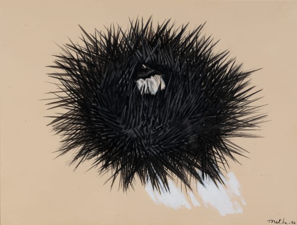 Melike Abasıyanık Kurtiç, Untitled, 1977