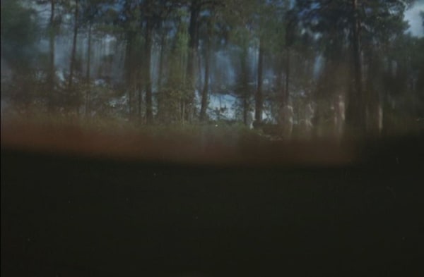 Second Nature 15, 2019–2023