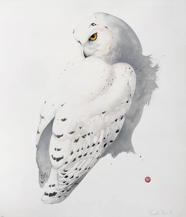 Karl Mårtens, Fjälluggla / Snowy Owl