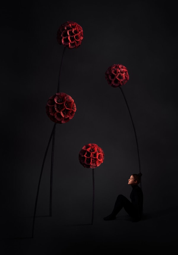 SONJA HESSLOW, Ignore Me