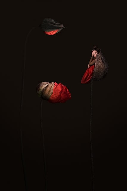 SONJA HESSLOW, Hide and Seek / Unseen