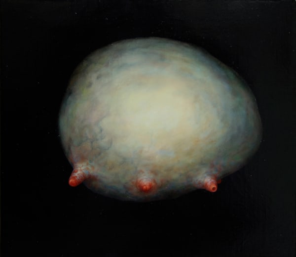 Johnathan Daily, Cloud (series Corporeal), 2011