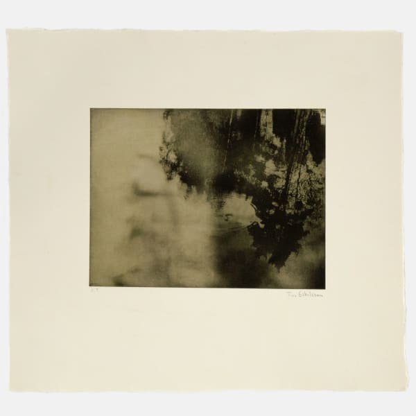 Tina Eskilsson / E, Spegelblankt