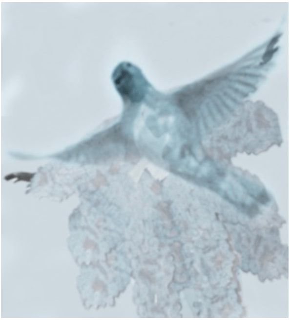 Joanne Grüne-Yanoff, Cassandra's Escape (sky), 2025