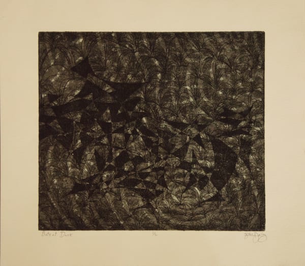 Johnathan Daily / E, Bats at Dusk