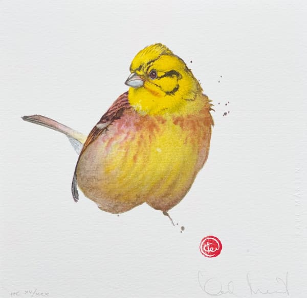 Karl Mårtens, Gulsparv / Yellowhammer