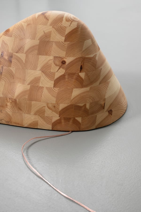 Jordana Loeb, Folding into Form IV, 2022