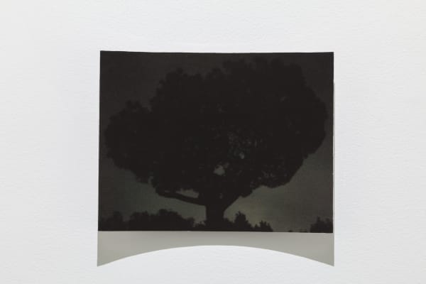 Karl Dunér, Parabol 10, 132 a 8 , 2023