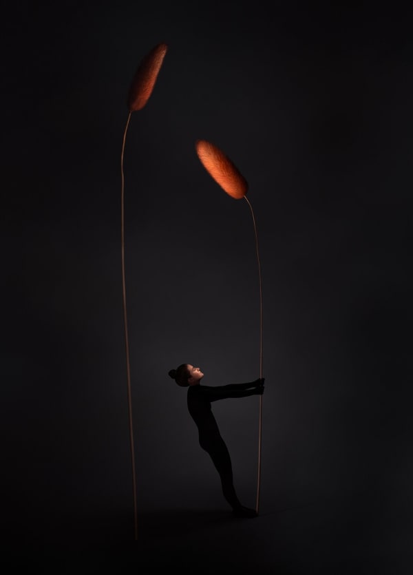 SONJA HESSLOW, Me / See Me