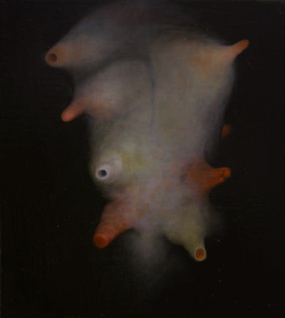 Johnathan Daily, Succelence (series Corporeal), 2010