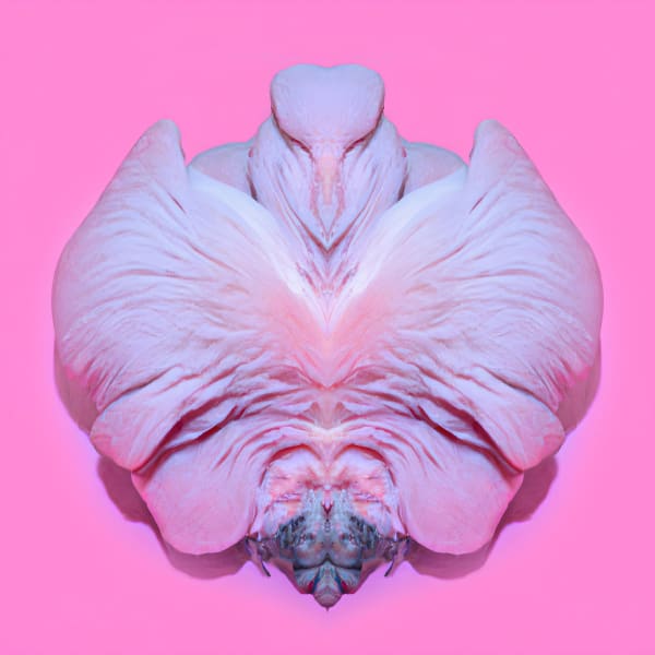 Susanne Fagerlund, Fruiting Bodies 2, 2023