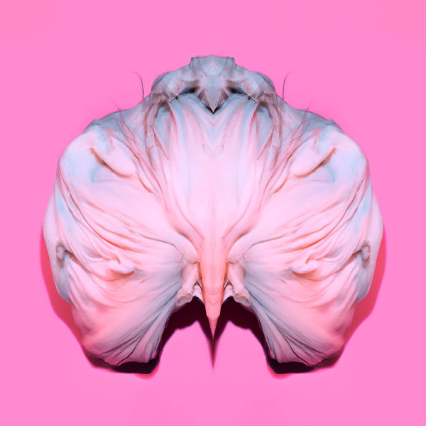 Susanne Fagerlund, Fruiting Bodies 1, 2023