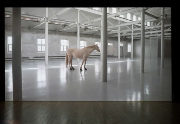 Tove Kjellmark, The Vanguard, 2022