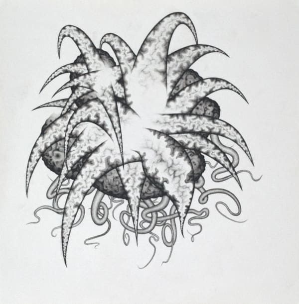 Johnathan Daily, Baljväxt, 2025