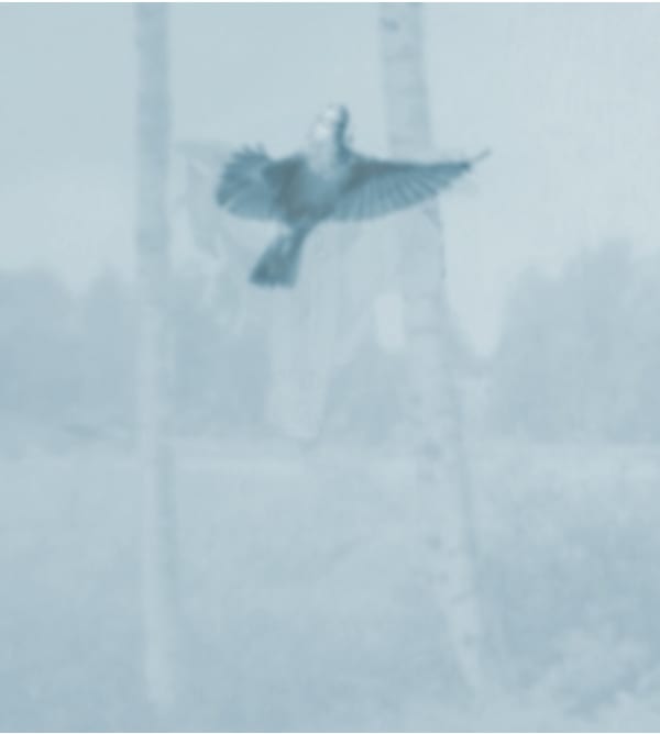 Joanne Grüne-Yanoff, Cassandra's Escape (air), 2025