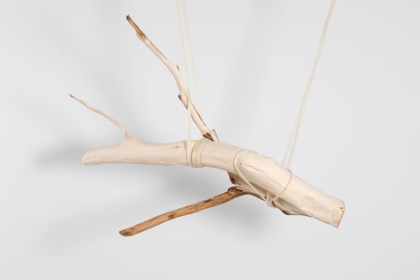 Jordana Loeb, Tendon IV, 2022