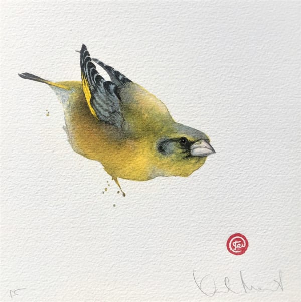 Karl Mårtens, Grönfink / Greenfinch