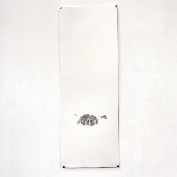 Alannah Robins, Over Your Cities Grass Will Grow. Field Clearance, Inis Mór, 19th century 53°05’39.3”N 9°38’24.3” W, 2023