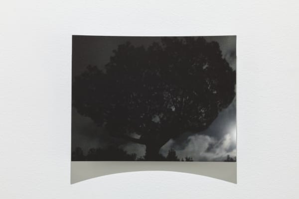 Karl Dunér, Parabol 11, 132 a 9, 2023
