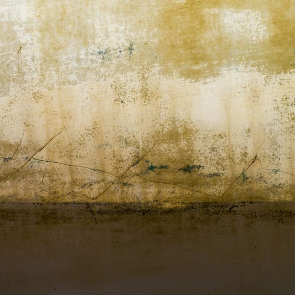 Serinyà, Seascape no A0001976, 2014