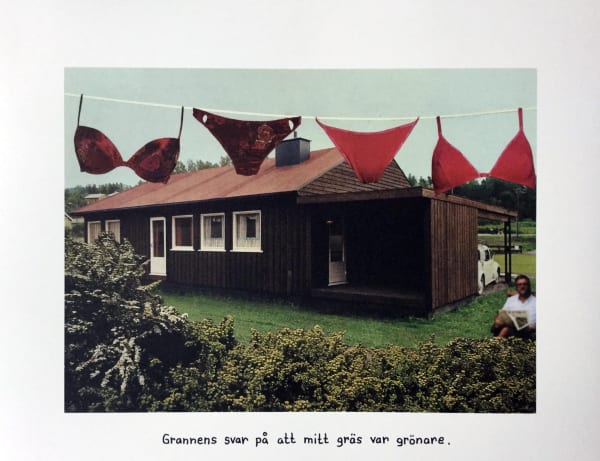 Jan Stenmark, Gräset / The grass