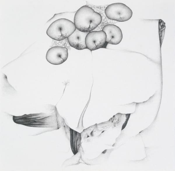 Johnathan Daily, 2017, 2025