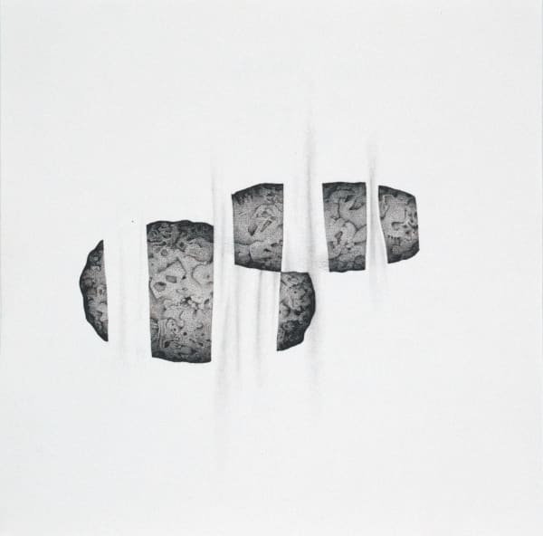 Johnathan Daily, Snygga potatisar och fula gardiner / Pretty Potatoes and Ugly Curtains, 2025