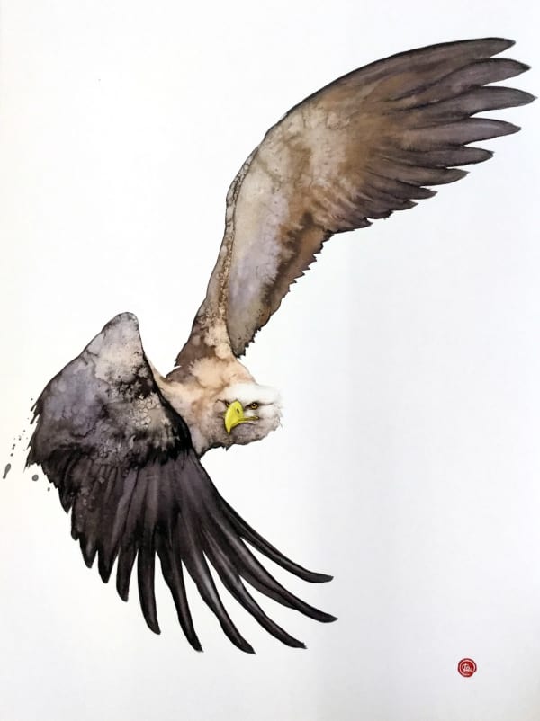 Karl Mårtens, Havsörn / White Tailed Eagle