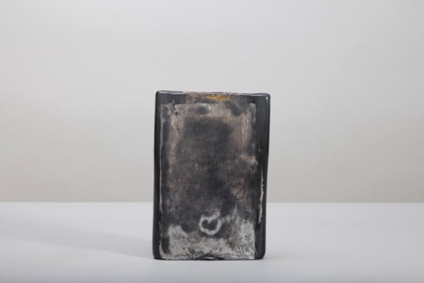 LAURA DE SANTILLANA, (IN 8. VO) LICHEN, 2018, 2018