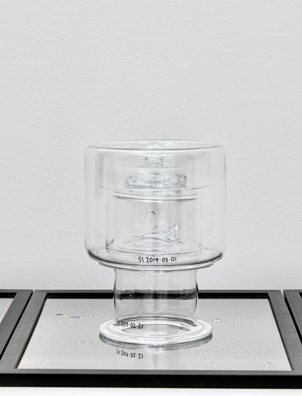 EVELINA DOVSTEN, EVERY SAMPLING IS A TESTIMONY 2611, 2020