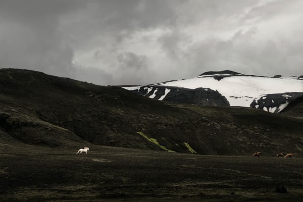Susanne Walström, HEKLA, 2024