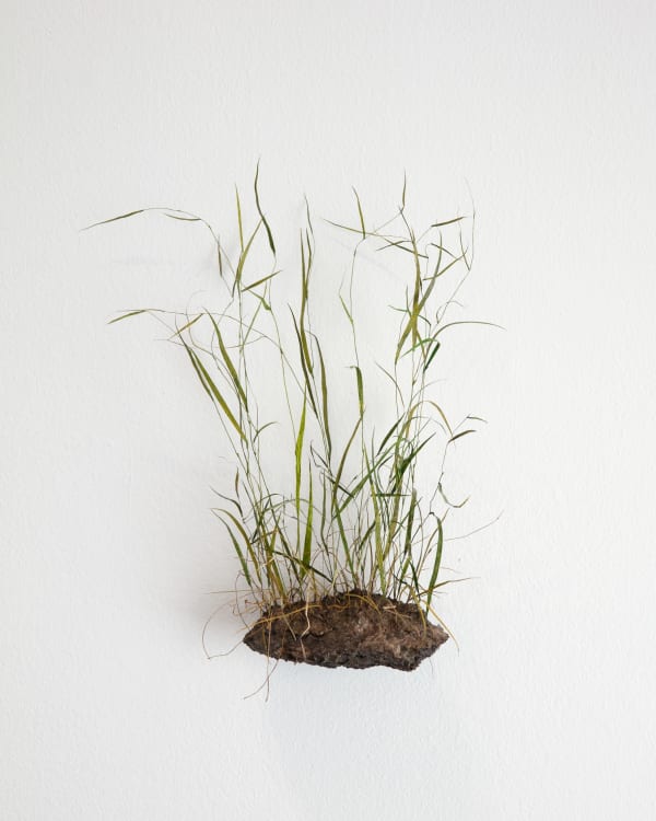Johanna Karlsson, Tuva / Tuft, 2025