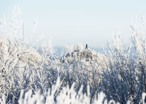 Ulf Lundin, Monumentet / The Monument (27), 2018