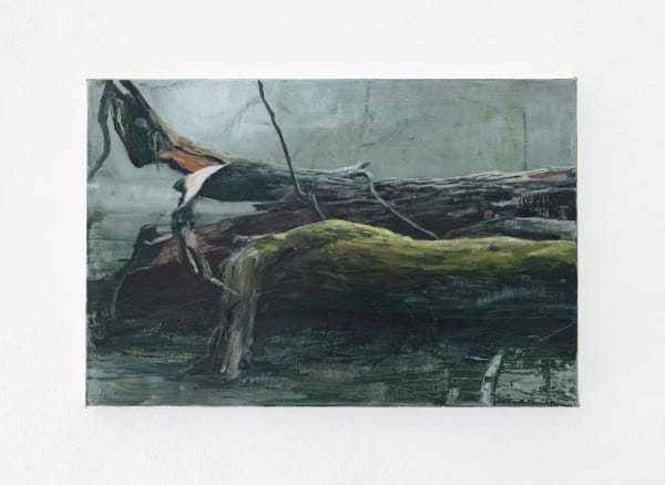 Tommy Hilding, Borealis #14, 2021