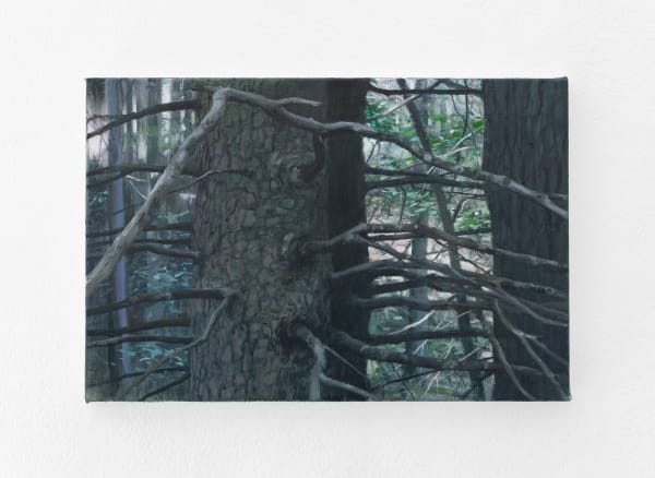 Tommy Hilding, Borealis #28, 2020